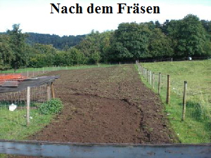 Frsen nachher