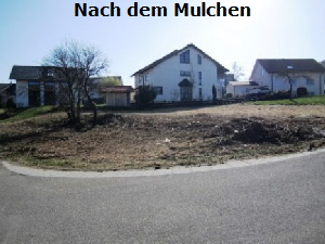 Nachher4