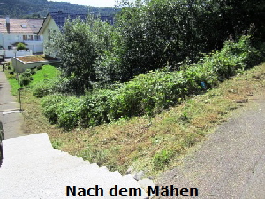 Nachher5