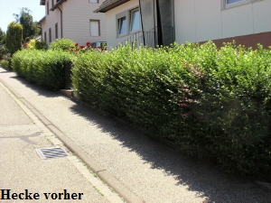 Vorher