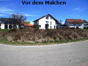 Vorher2