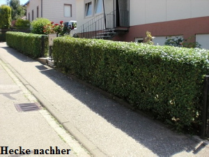 nachher